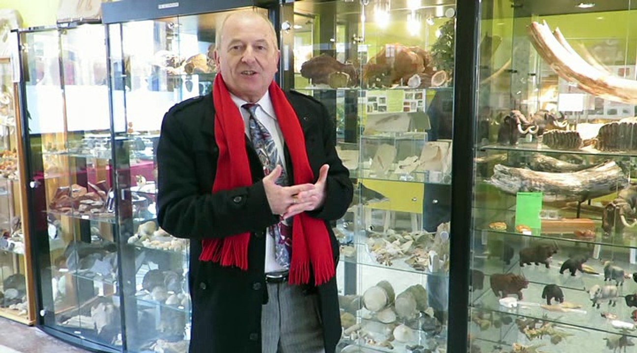 Saint-Quentin : visite du Musée des origines de la terre à la Préhistoire