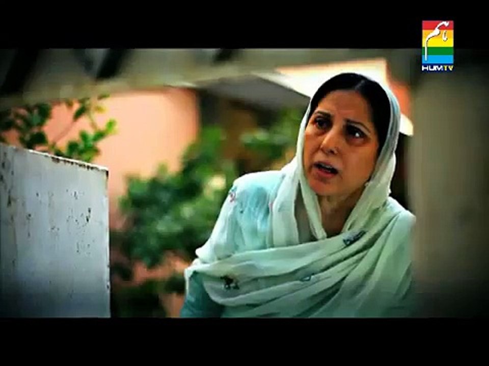 Zindagi Gulzar Hai OST - HUM TV