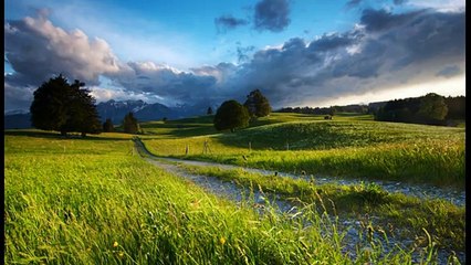 Compilation de Bonne Musique