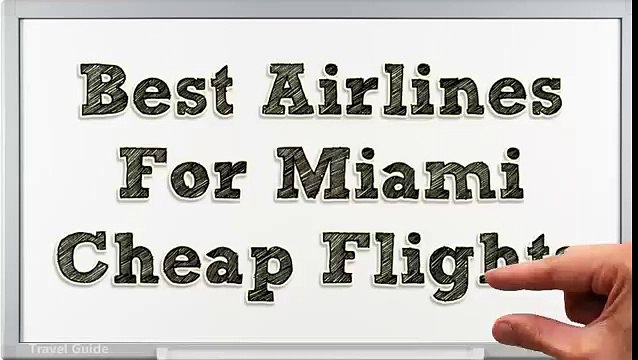 Best Airline Approved Pet Carriers