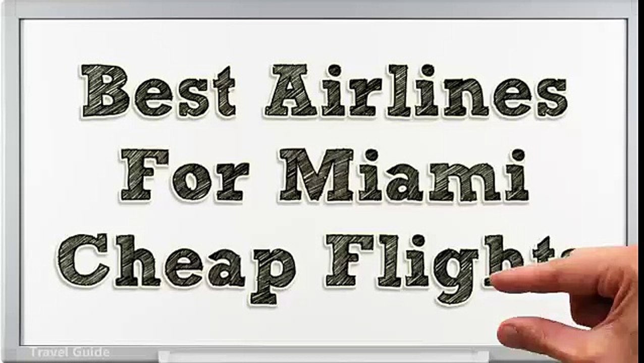 Best Airline Approved Pet Carriers