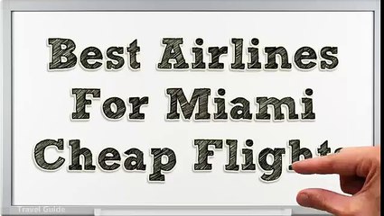 Best Airline Approved Pet Carriers