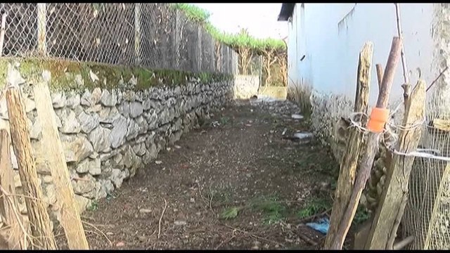 VRITET ME ARME NJE 56 VJEÇAR NE SHKODER, ARRESTOHET AUTORI I DYSHUAR I KRIMIT LAJM