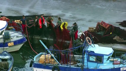 L'Algérie vu du ciel /الجزائر نظرة من السماء