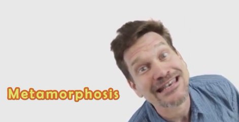 Understanding Metamorphosis: The Amazing Transformation Process 🦋