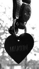 CINEPHONE 2016 - MARTIN