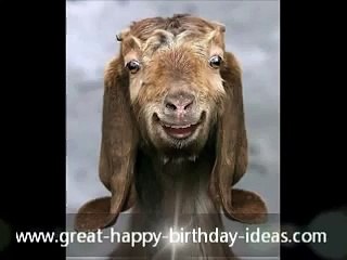 Happy Birthday Funny Card from an Old Goat