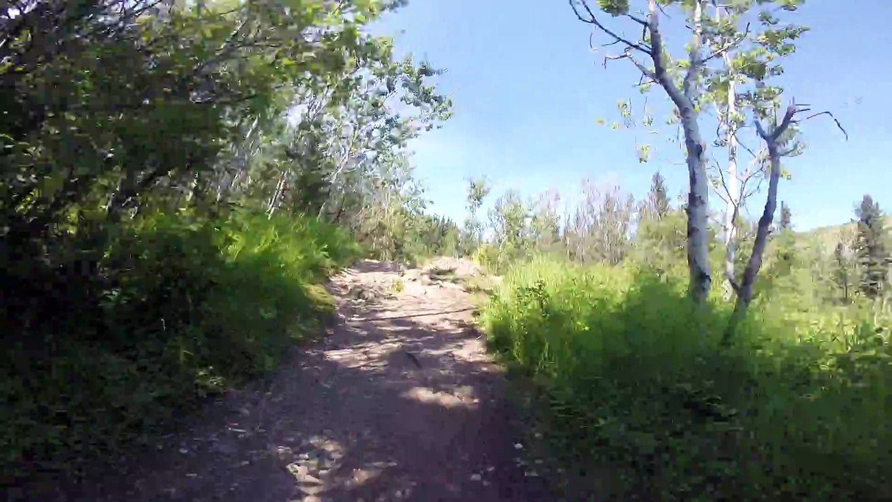 TCN Travel Bruh goes for a hike at Big Hill Springs[12]