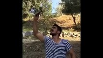 Aykut Elmas Mayıs 2016 En yeni vine ları Ocak!