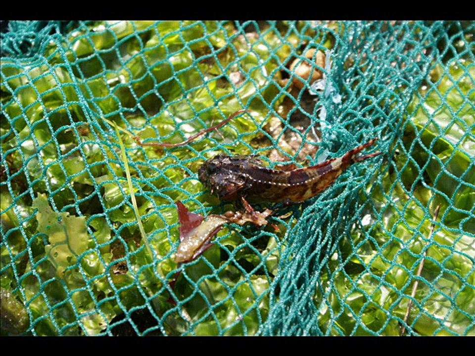 Loix en Ré avant la tempête Xianthia