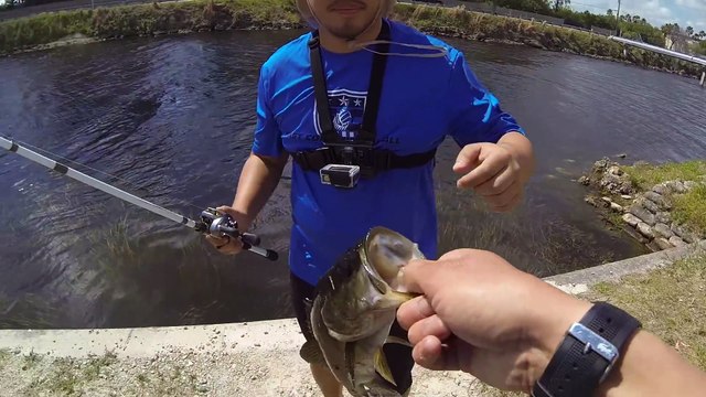 Best fishing and Top Water Peacock Bass Video Ever