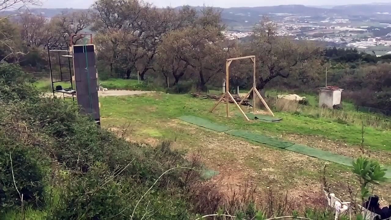 Obuka pasa u skoku u dalj