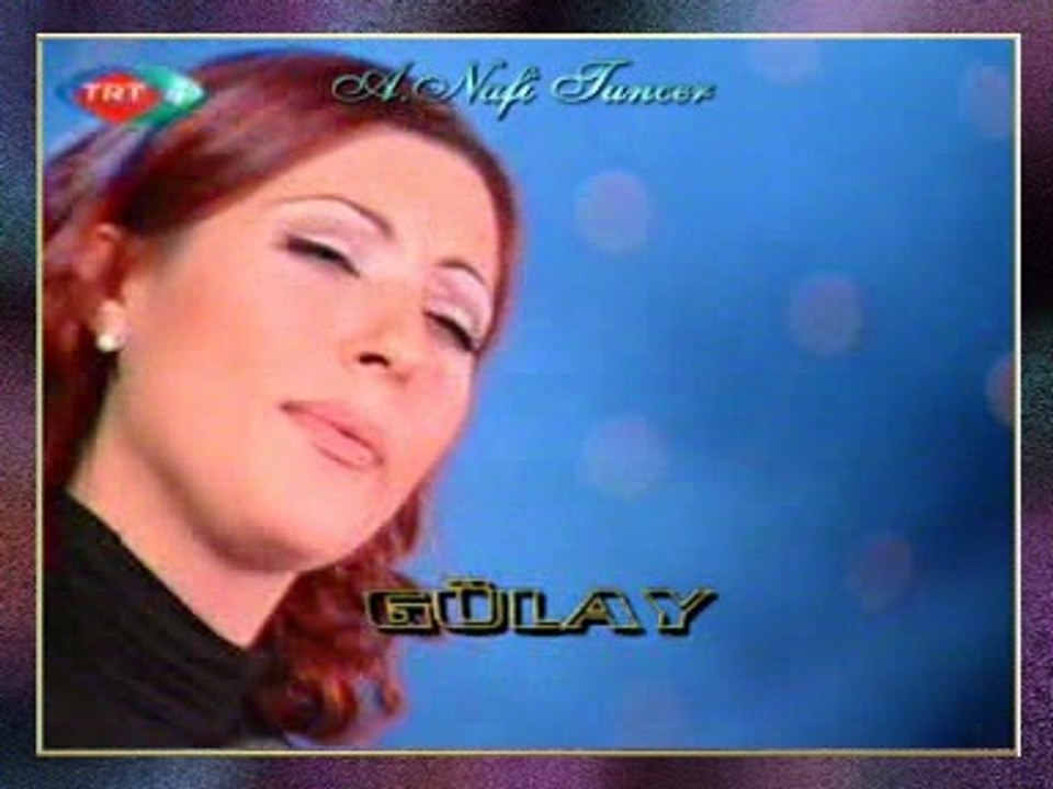 GÜLAY-Hastane Önünde İncir Ağacı