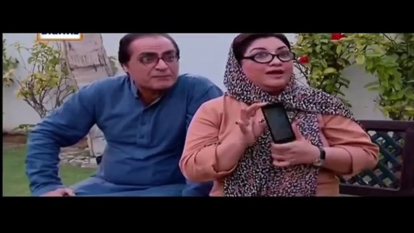 Bulbulay Episode 387 ARY Digital 21 February 2016 Full Drama HD Video Dailymotion