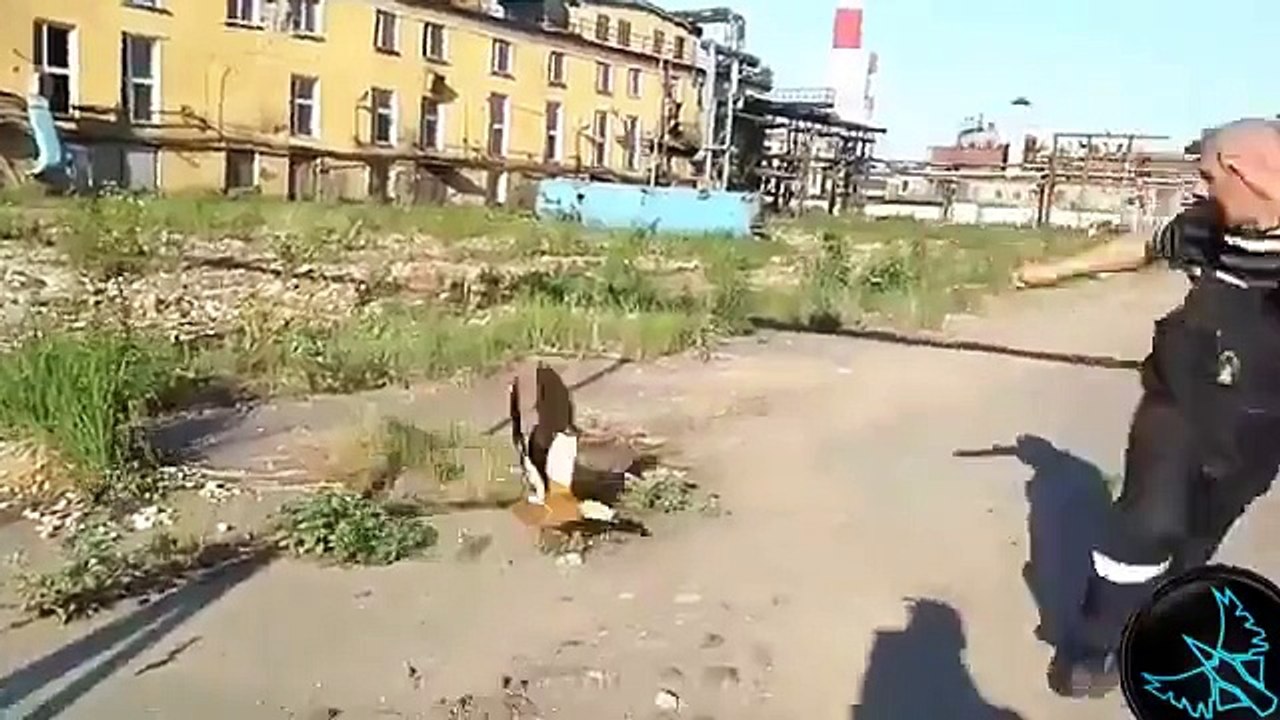 Fail Videoları, Komik Videolar, Kaza Videoları 3