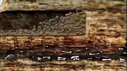 Documentary about Mysteries of Dinosaurs