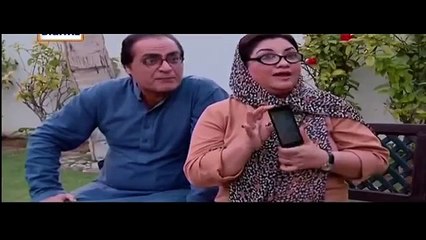 Bulbulay on ARY Digital Episode 387 - 21 February 2016