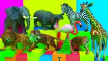 Happy Cute Zoo Animals Lion Tiger Zebra Elephant Hippopotamus Toy Review FUN Ending