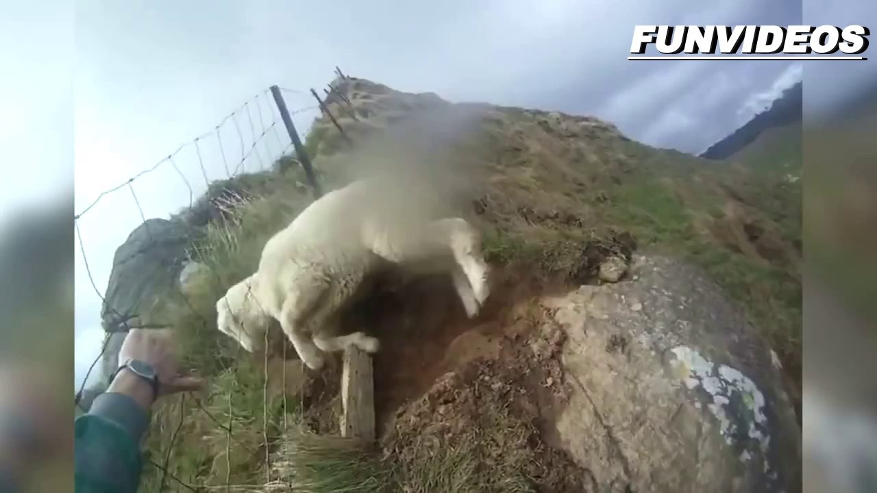 Fails Bestiales del fin de Semana 2