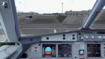 Flight Simulator 2015 - Ons and Offs