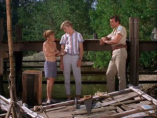 Flipper S01E27 Bud Minds Baby