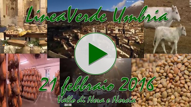 Alcuni momenti di LineaVerde del 21 febbraio Vallo di Nera e Norcia 21 febbraio 2016
