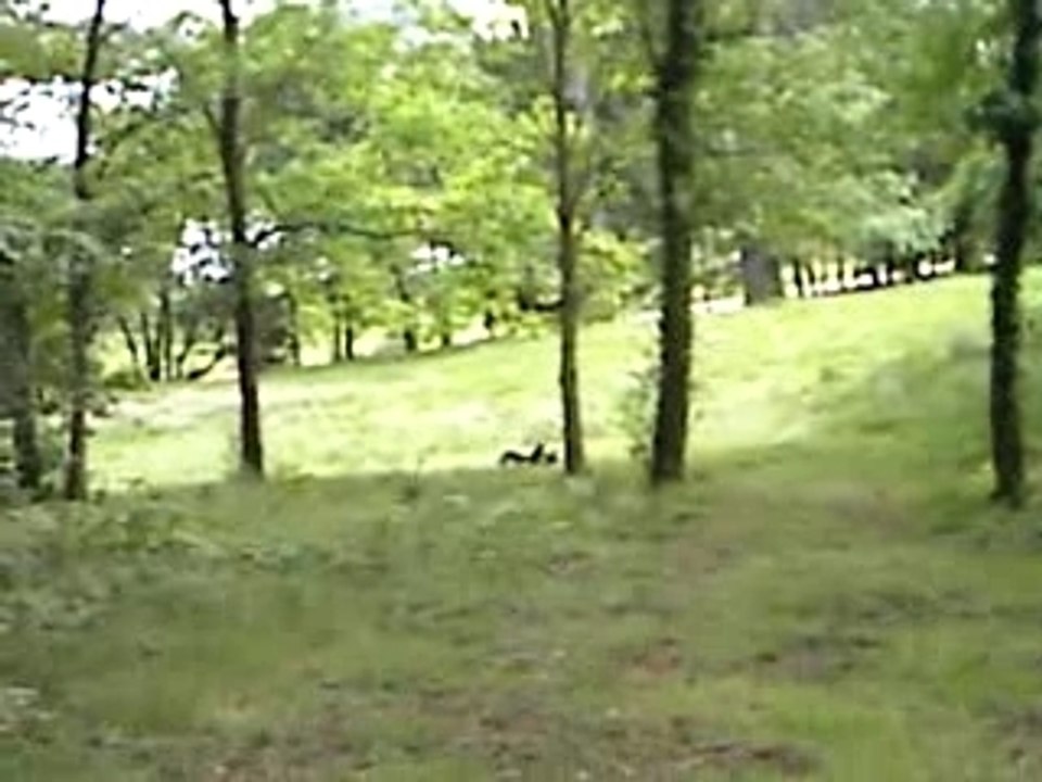 la chute du dougit's