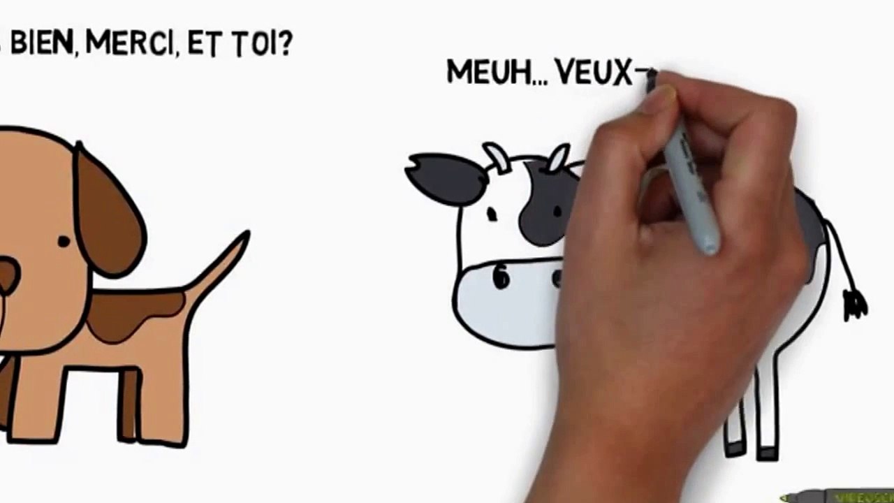 Videoscribe sample