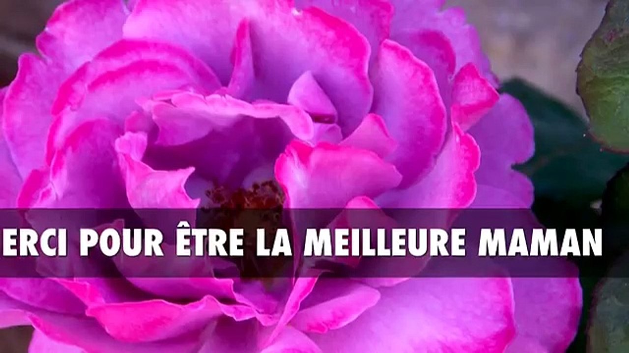 La fête des mères