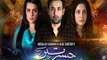 PTV Drama -  Hasratein -Episode 12 Full in HD