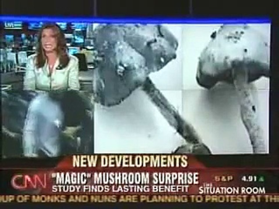 Magic mushrooms on CNN Long lasting positive effects