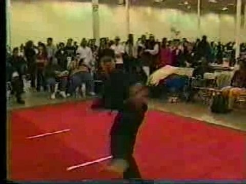 Démonstration de divers arts martiaux (acrobatiques)