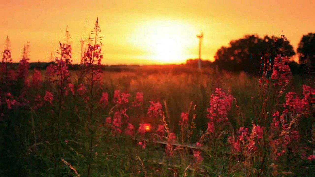 Beautiful Sunset Ever