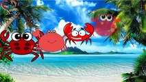 Crazy Videos Crabs 2D Finger Family Nursery Rhymes Songs with Lyrics And Action