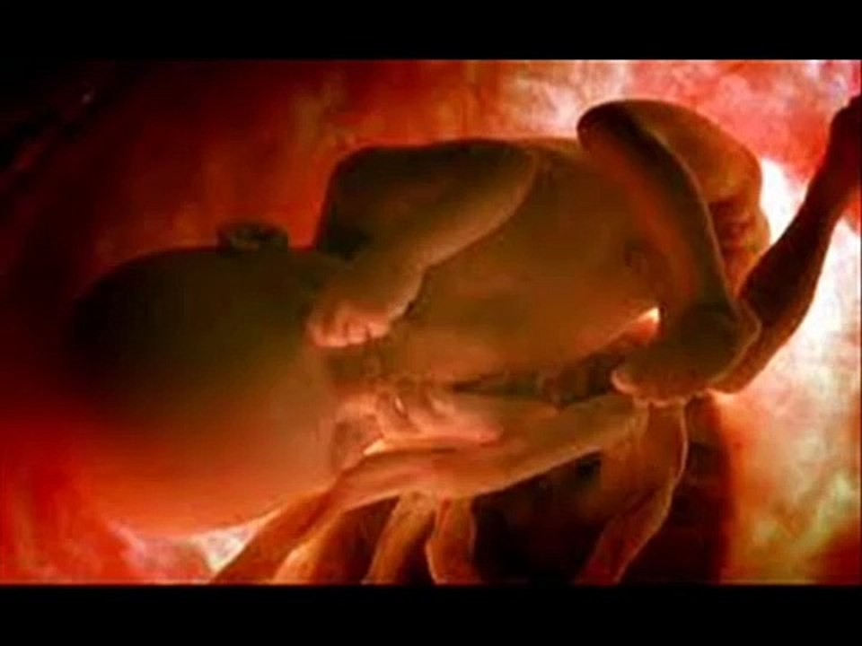 etapa y crecimiento del bebe en el vientre materno