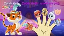 Whisker Haven Tales Finger Family Nursery Rhymes Lyrics