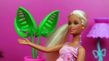 Barbie Doll Spanish Lesson with New Latina Disney Princess Vera DisneyCarToys Pregnant Barbie Parody