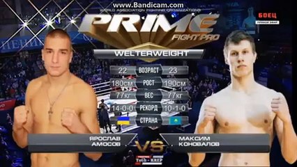 Боевое САМБО Сириус Ярослав Амосов - Максим Коновалов