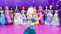 Frozen Dolls Elsa and Anna Dress Up Party With Disney Princess Set Ariel, Rapunzel, Cinderella