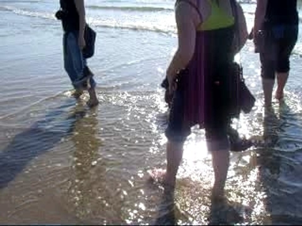 sur la plAage de berck / mer héhé