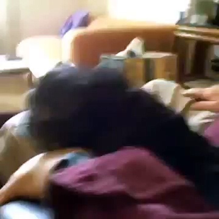 The Inner Thoughts Of An Elderly Pug 3 Vine by Ry Doon