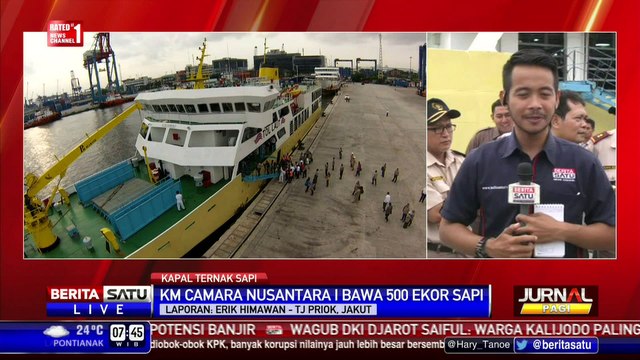 Mentan: 7 Kapal Dipersiapkan untuk Angkut Ternak