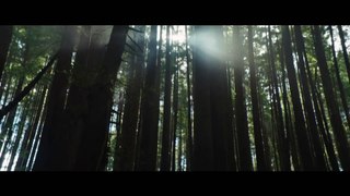 Pete's Dragon | Official Teaser Trailer #1 (2016) - Bryce Dallas Howard Movie HD