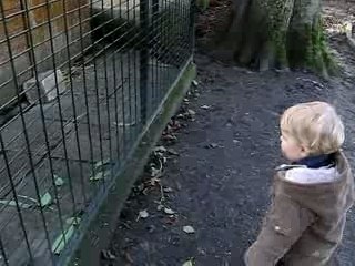 La biquette de la cour Roland