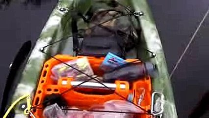 Kingfisher Kayak Paddle Boarding