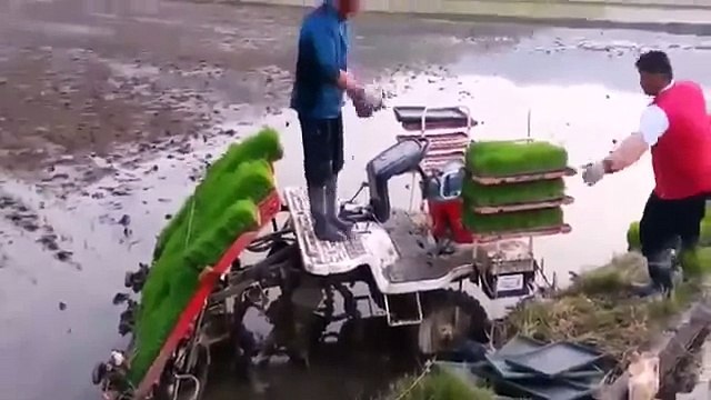 Сельхозтехника в Китае