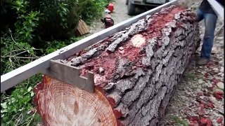 Распилить дерево на доски в лесу