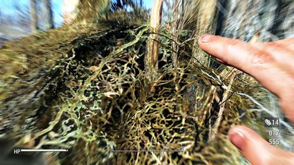 A NameLesS FALLOUT SuPeRJeT