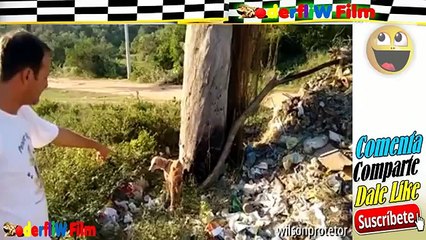 Un video molto triste con un finale davvero speciale.