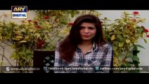 Watch Bulbulay Episode  387  21st February 2016 On ARY Digital